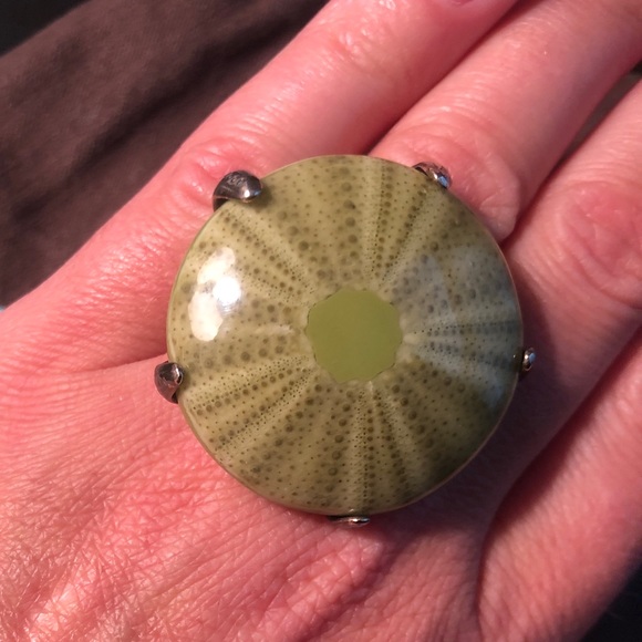 Nature Bijoux Sea Urchin & Silver Adjustable Size Ring - Picture 4 of 5